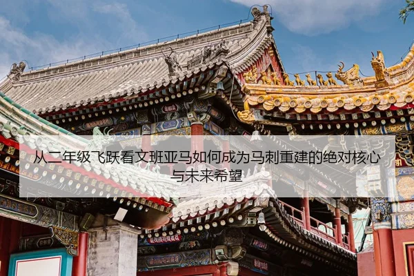 从二年级飞跃看文班亚马如何成为马刺重建的绝对核心与未来希望