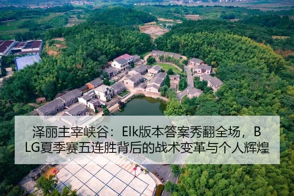 泽丽主宰峡谷：Elk版本答案秀翻全场，BLG夏季赛五连胜背后的战术变革与个人辉煌