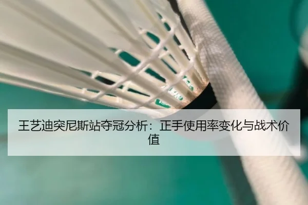 wang-yi-di-tu-ni-si-zhan-duo-guan-fen-xi-zheng-shou-shi-yong-lv-bian-hua-yu-zhan-shu-jia-zhi-3-599.jpg